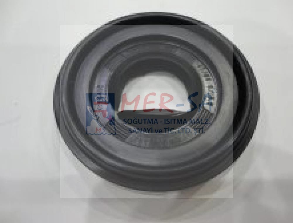 Keçe 25X47/66X9/15.50 Electrolux